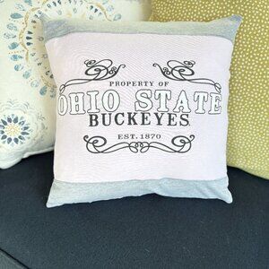 Ohio State University Buckeyes Custom Reworked Throw Pillow 16" pink cover